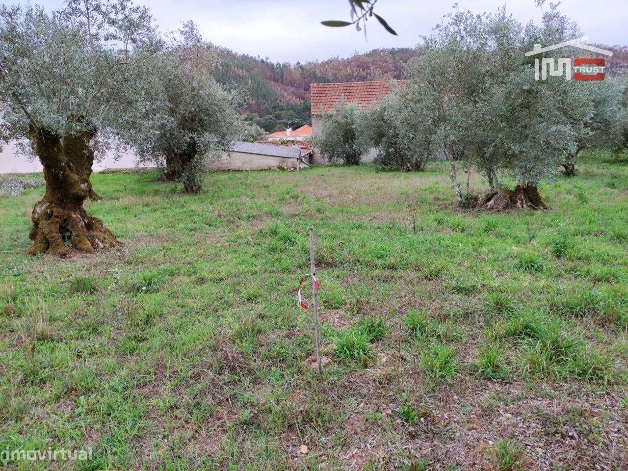 Terreno rústico, para construção. - Grande imagem: 3/6