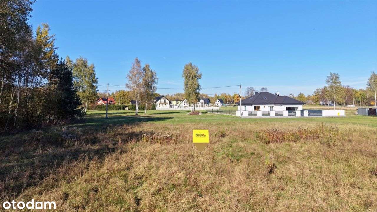 Działka, 4 400 m², Buczków - Pełny obrazek: 5/14