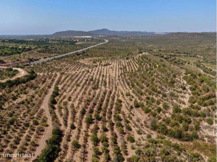 Terreno Para Investimento Turistico - Monte Agudo - Santo Estêvão - Grande imagem: 4/14