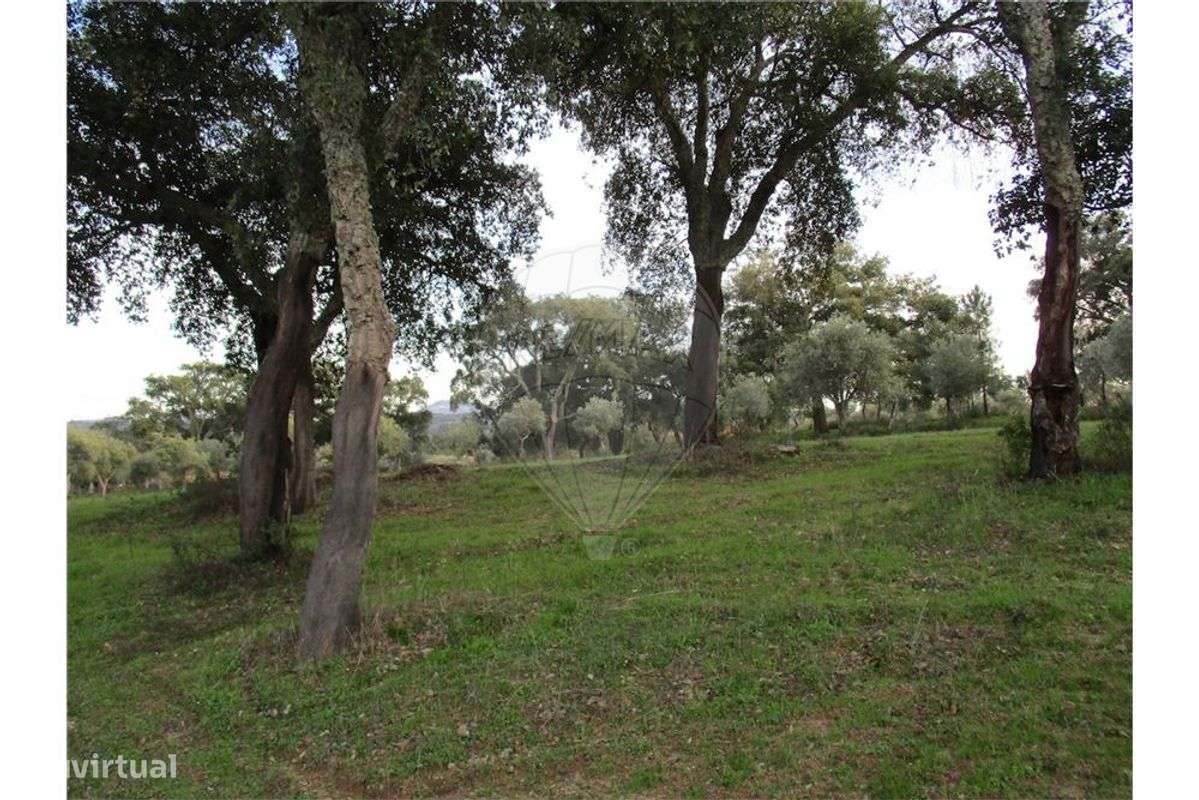 Quinta T0 para venda - Grande imagem: 4/25