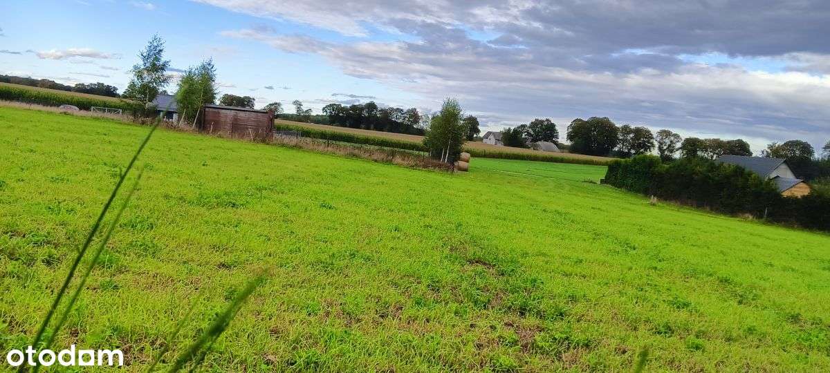 Działka w Wyszecinie k. Luzina z Mpzp-10