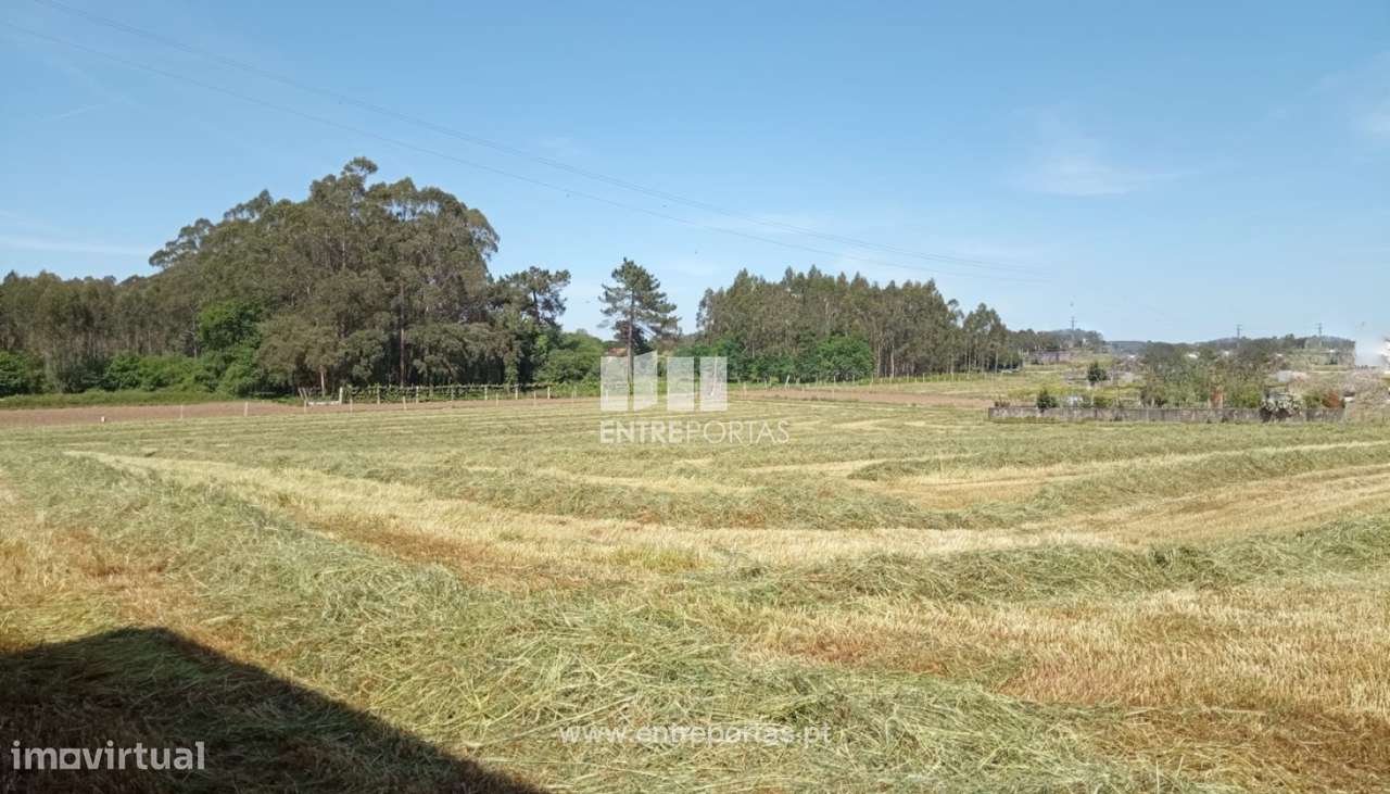 Venda de Terreno com 15 000 m2, Vilar, Vila do Conde - Grande imagem: 5/11