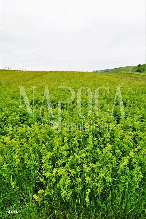 Teren extravilan pentru constructii de vanzare in Popesti - Imagine principală: 2/5