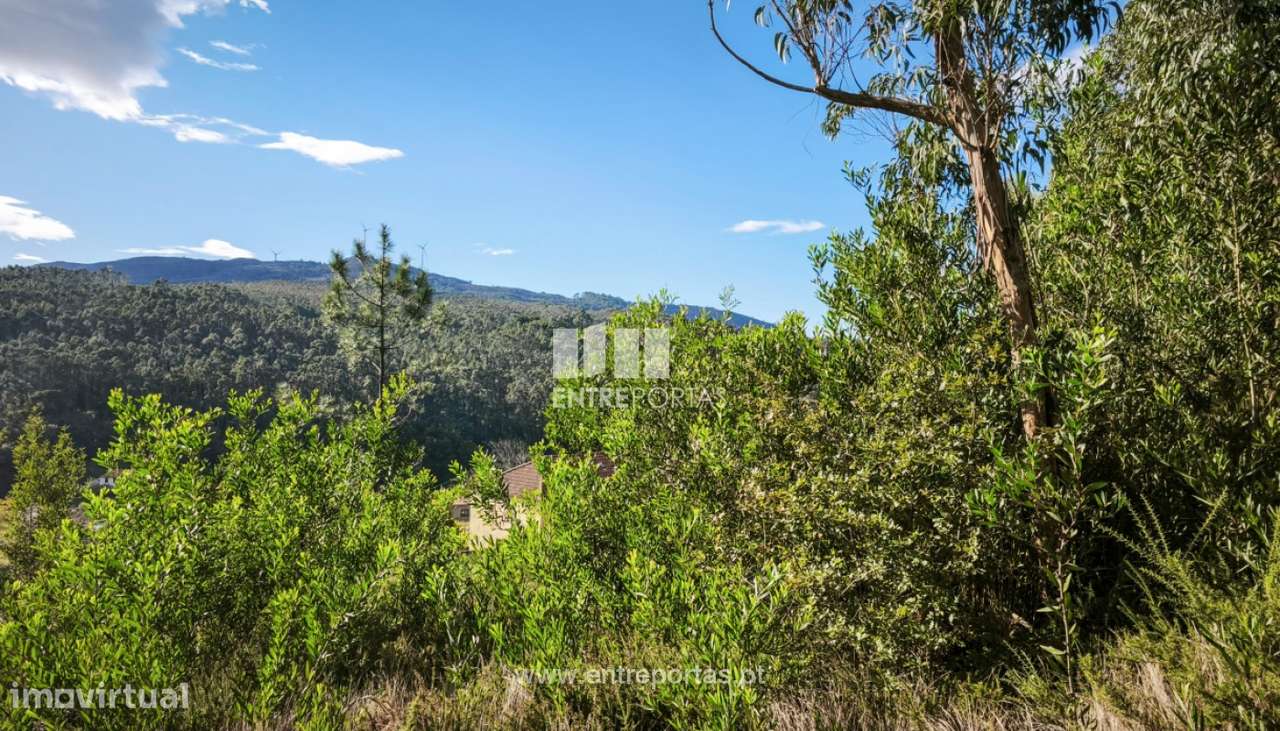 Venda de Terreno de construção em Outeiro, Viana do Castelo. - Grande imagem: 5/19