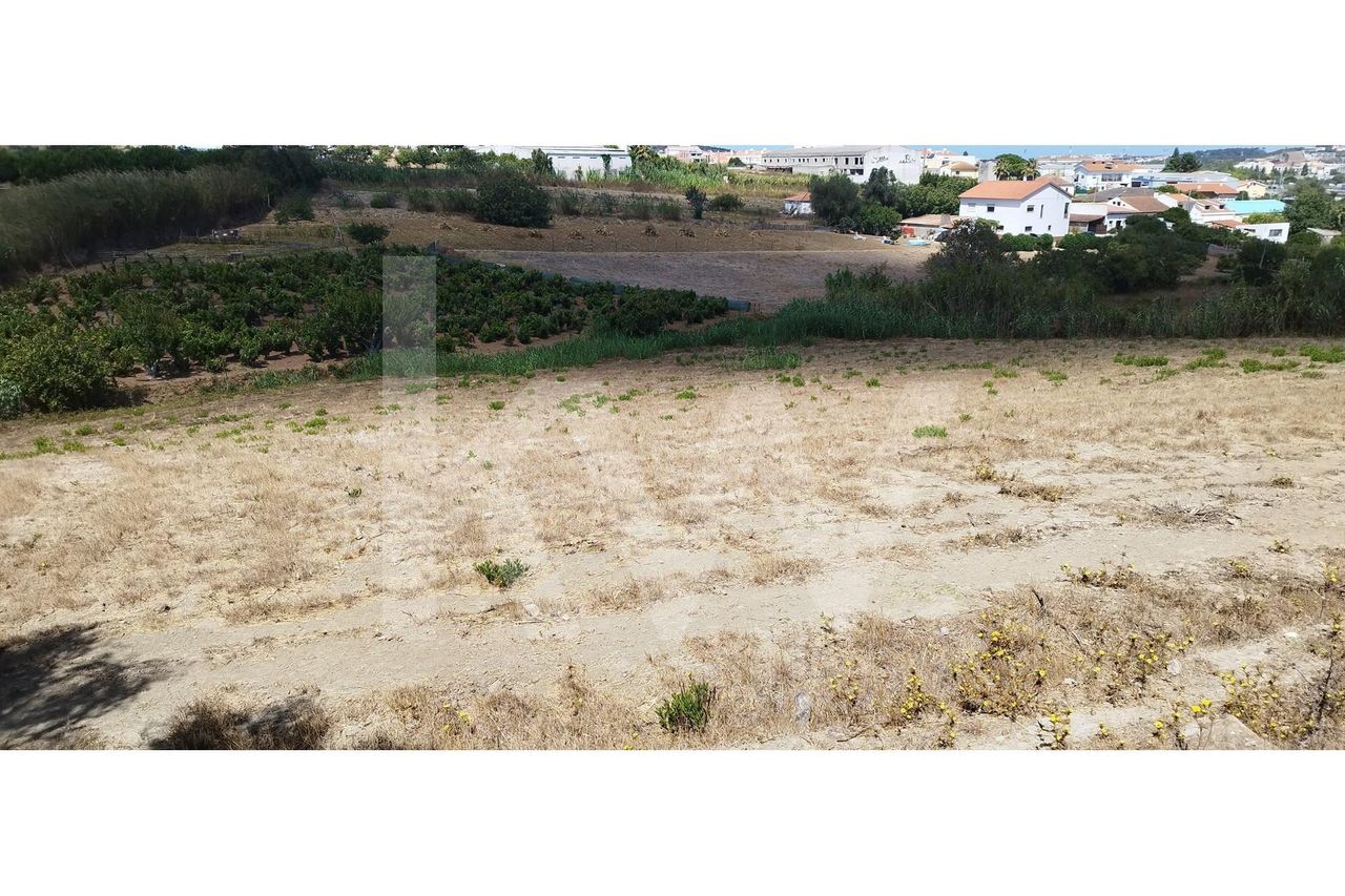 Terreno na Lourinhã | 9915m2 | Urbanizável | Ótima oportunidade de inv