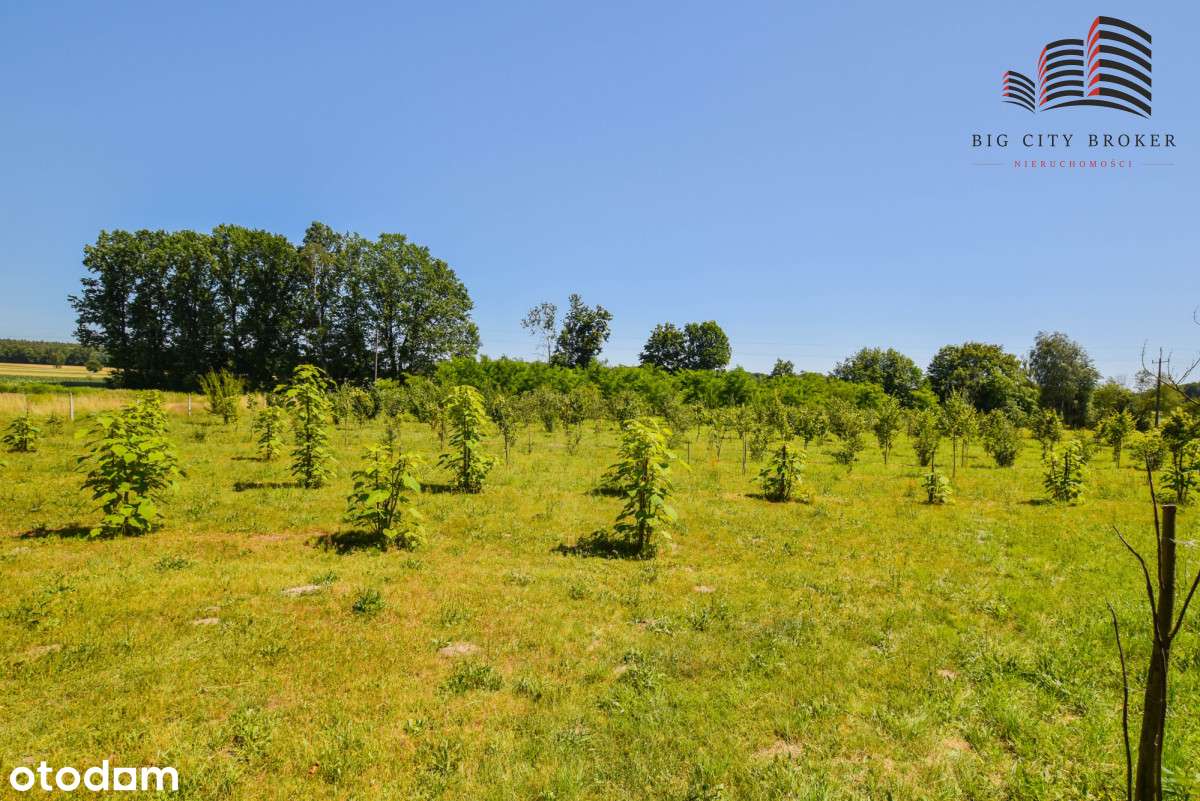 Dom z dużą działka i ogrodem - Łąkoć - Pełny obrazek: 5/20