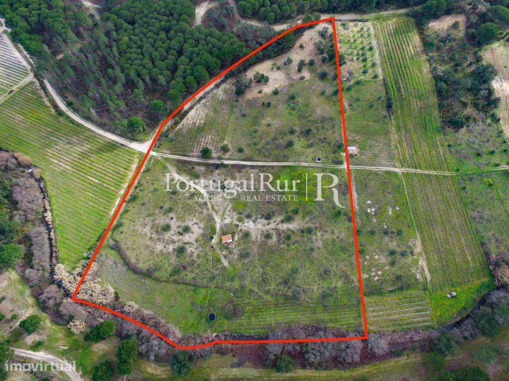 Vinhas do Cabeção - 7,175 hectares - Grande imagem: 3/18