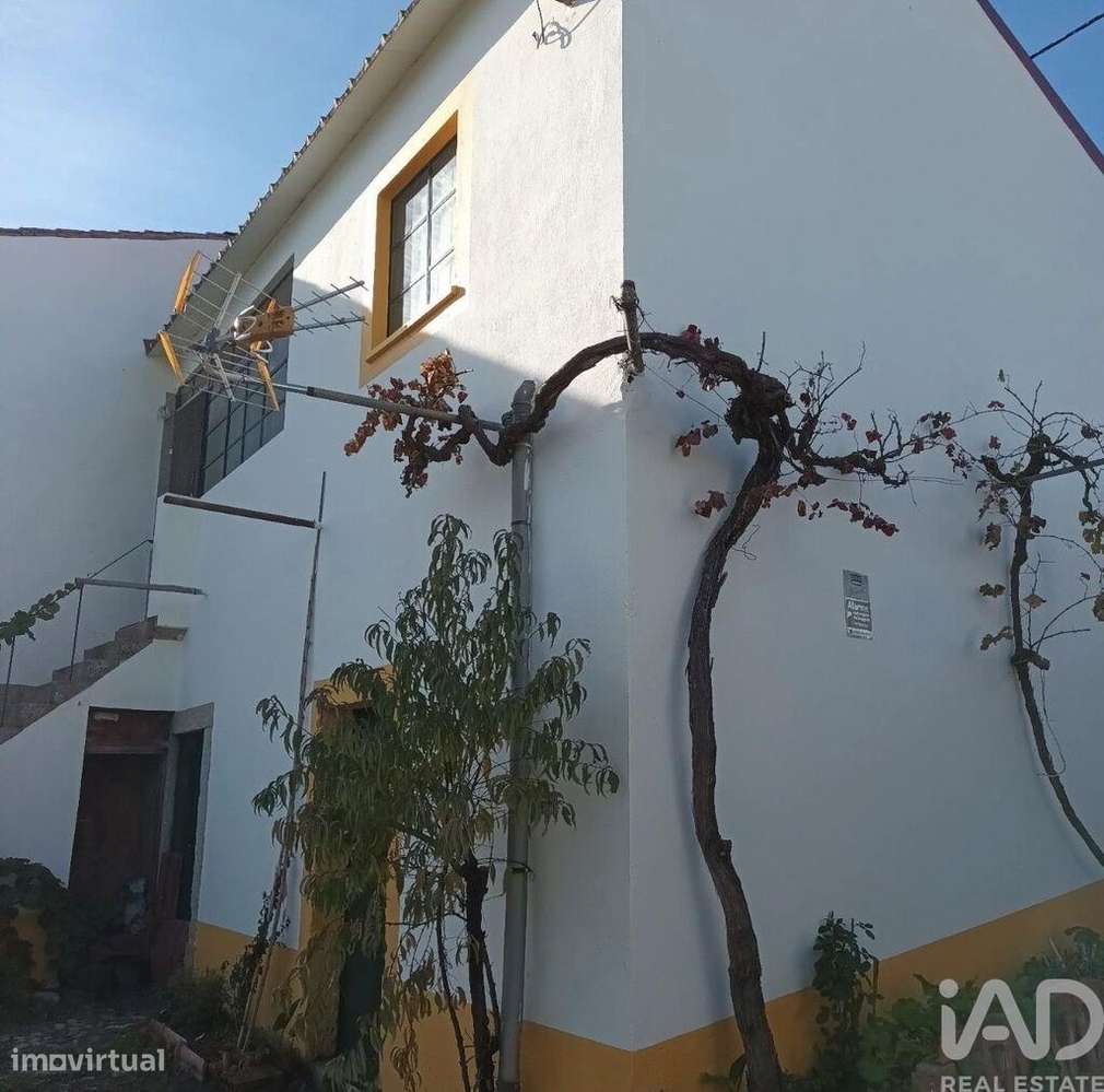 Quinta T5 em Castelo Branco - Grande imagem: 5/5