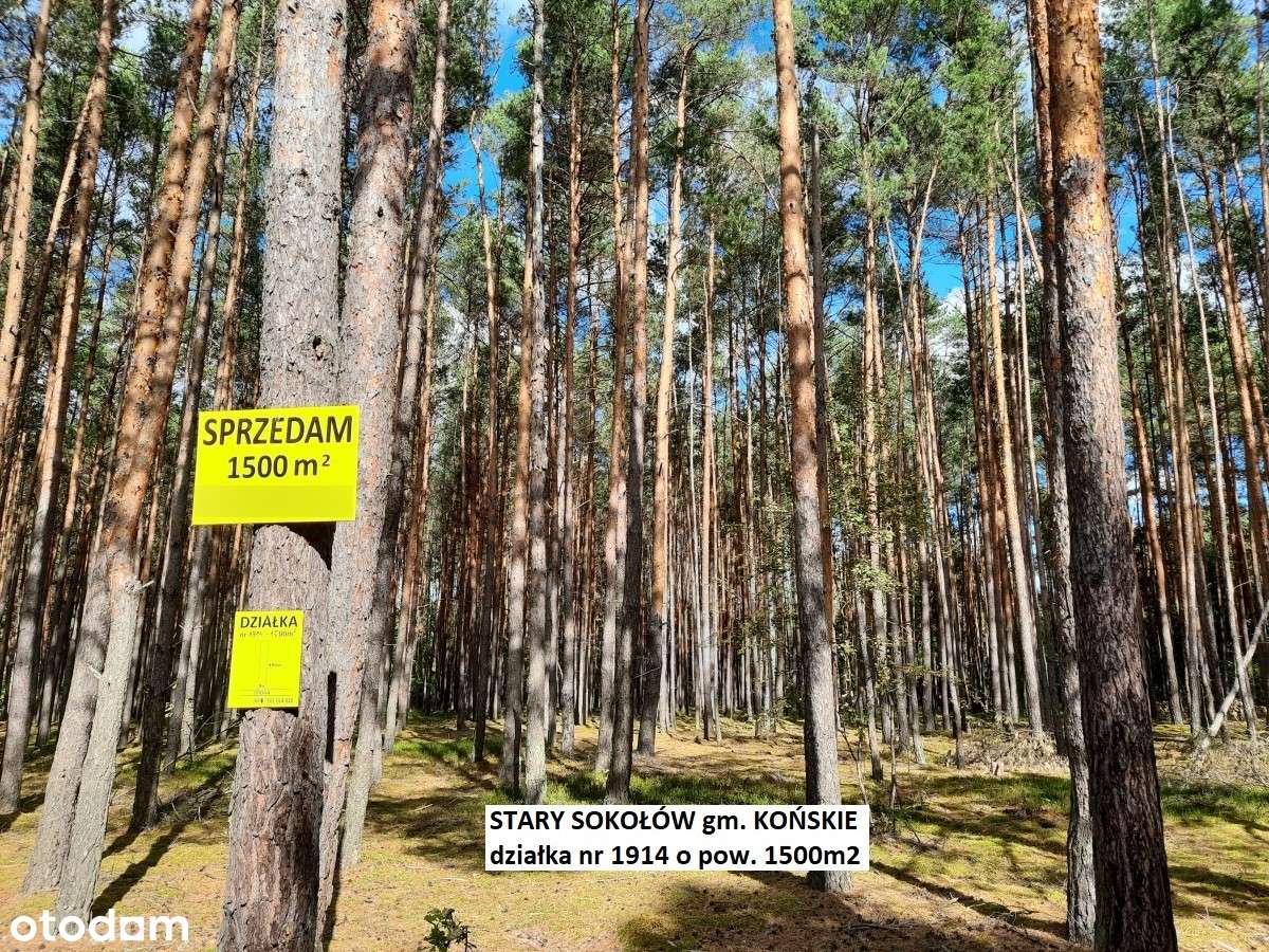 Sale -10% Najtańsza działka leśno-rolna 1500m2 tylko 9.900 zł-10