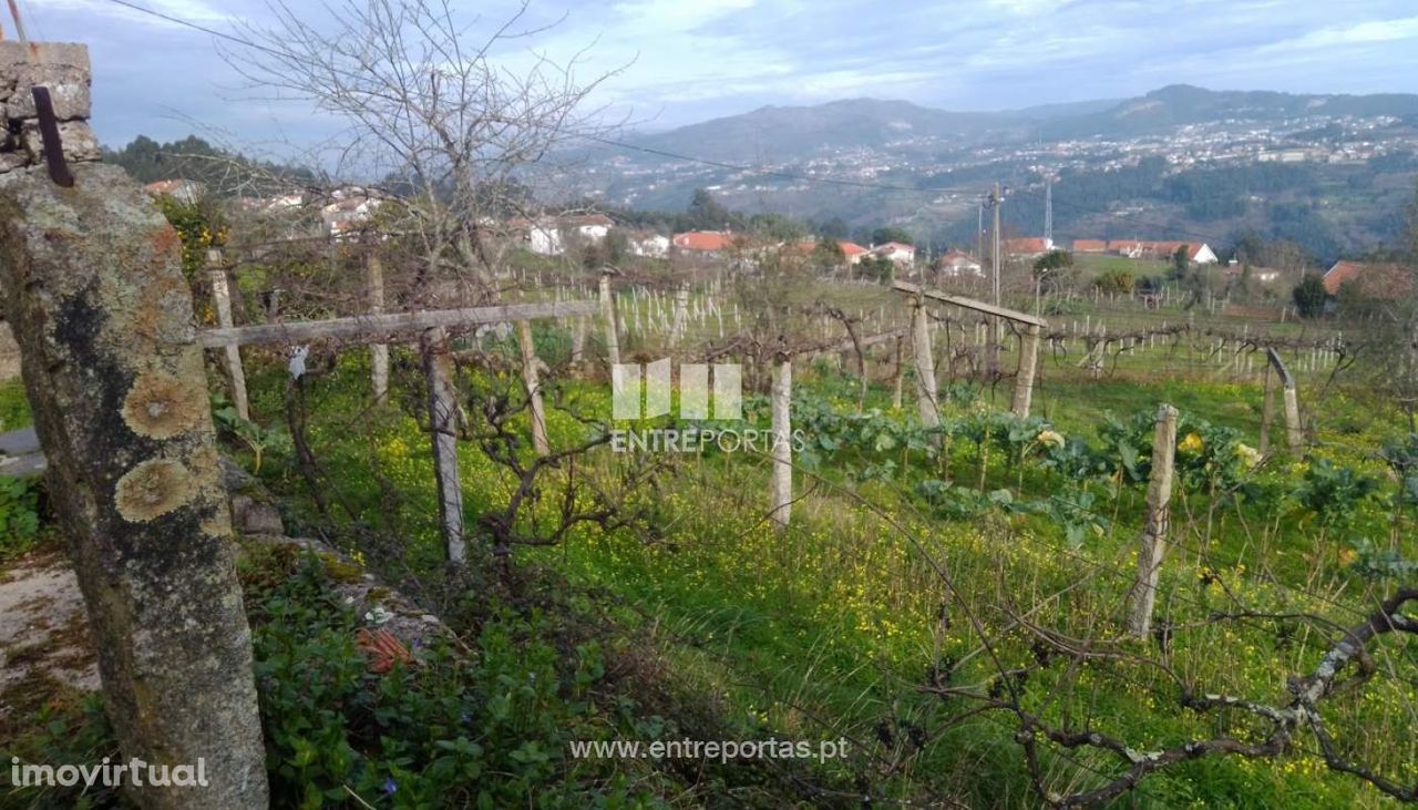 Venda Terreno, Rio de Moinhos, Penafiel