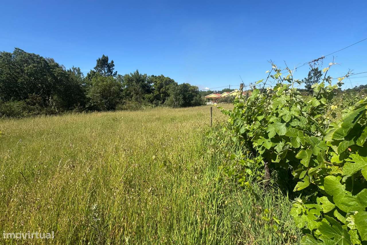 Terreno com viabilidade de construção em São Lourenço do Bairro-5