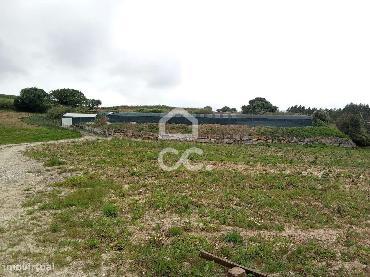 Terreno rústico com Estufas para venda em Miragaia, Lourinhã. - Grande imagem: 5/19