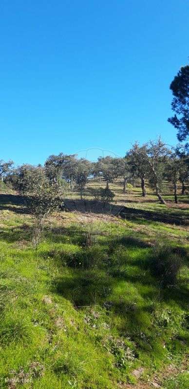 Terreno  para venda - Grande imagem: 4/17