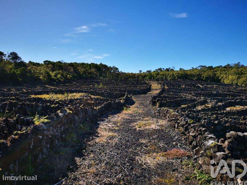 Terreno em Madalena de 20010,00 m² - Mais