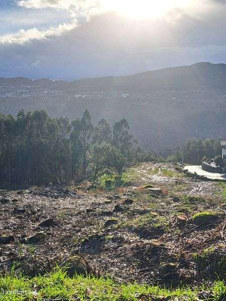 Terrenos  para construcao - Grande imagem: 4/4