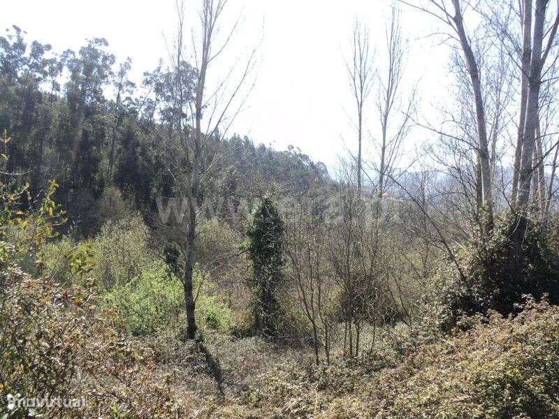 Terreno Rústico / Marco de Canaveses, Sande e São Lourenço - Grande imagem: 4/5