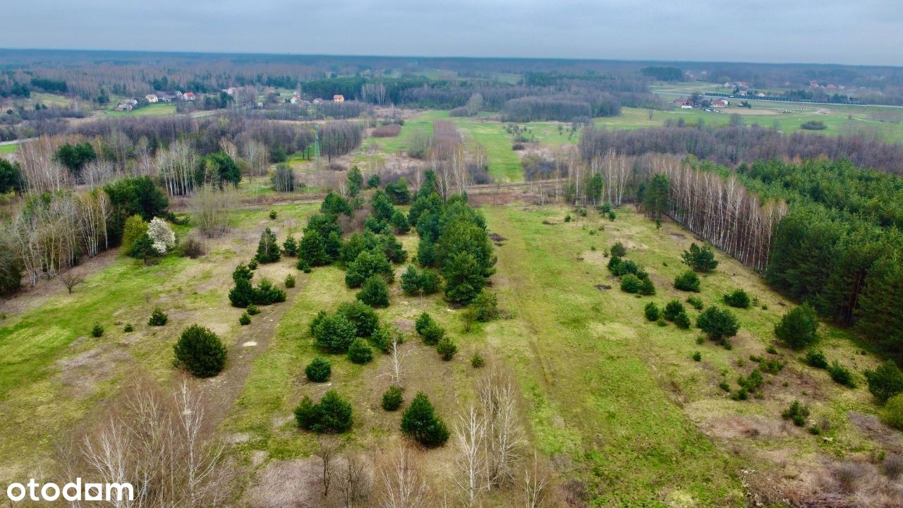 Działka z WZ- Zarzecze, ul. Polna.