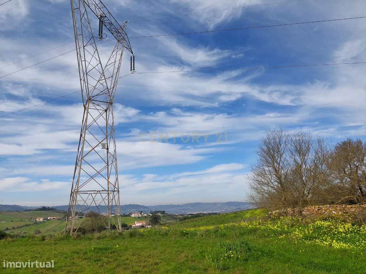 Quinta - 25 hectares-15