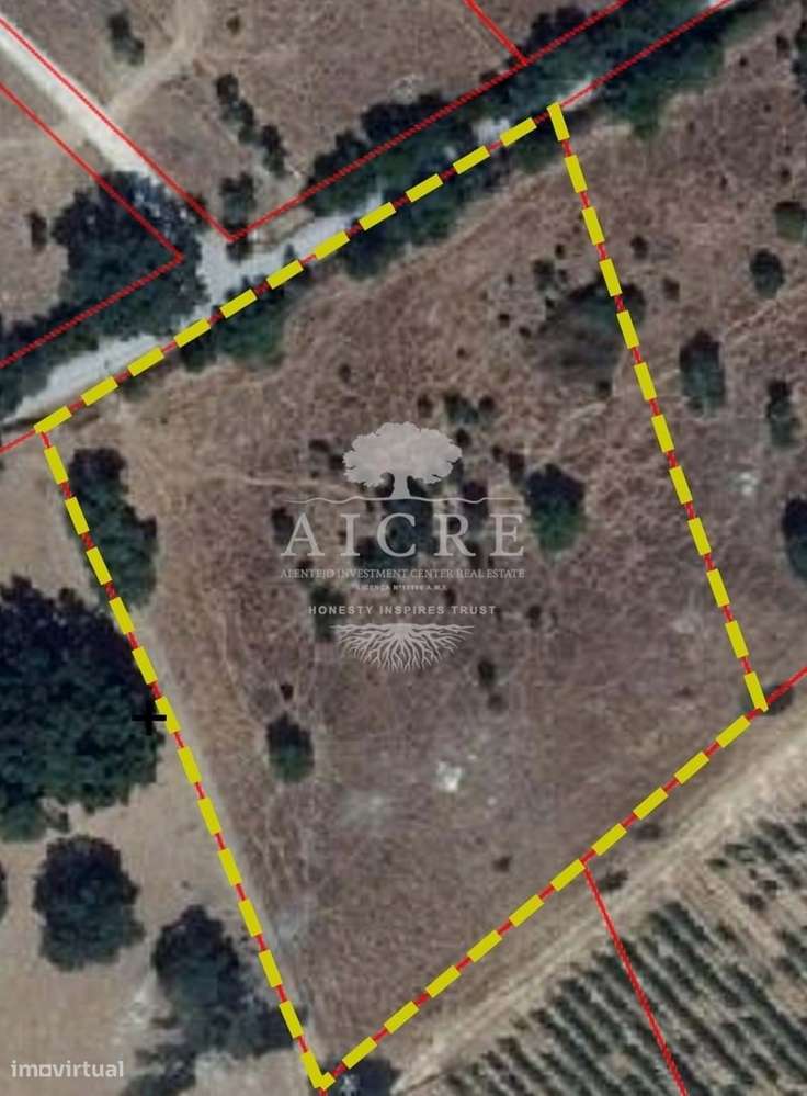 QUINTA COM 5100 M2 - Grande imagem: 2/3