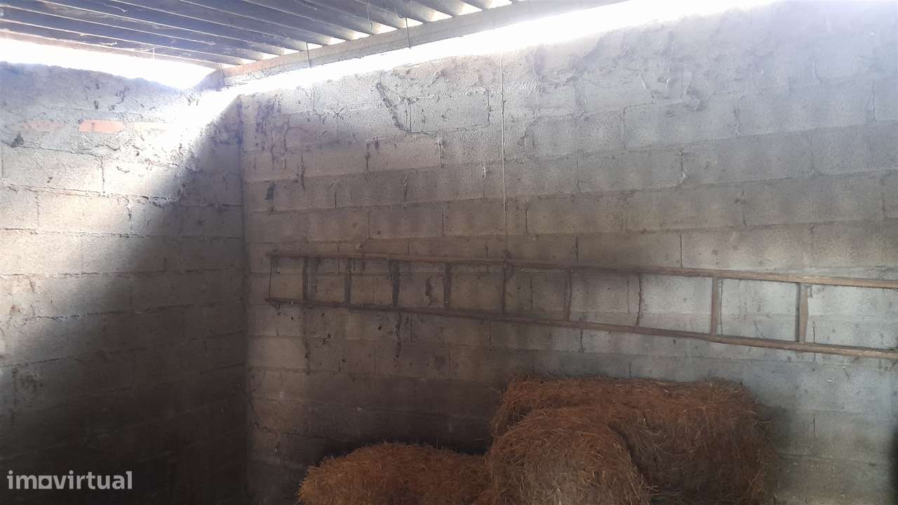 Quinta T0 Venda em Vila Velha de Ródão,Vila Velha de Rodão-27