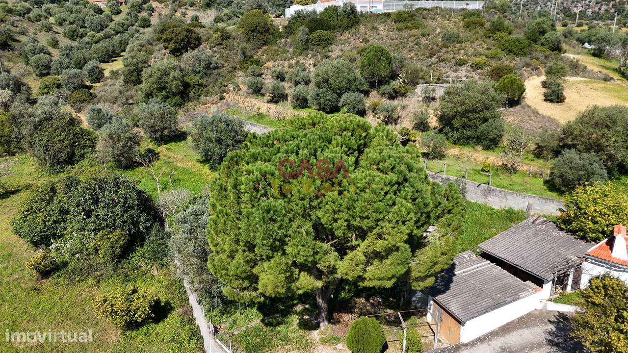 Moradia T3+2 Venda em Zibreira,Torres Novas-59