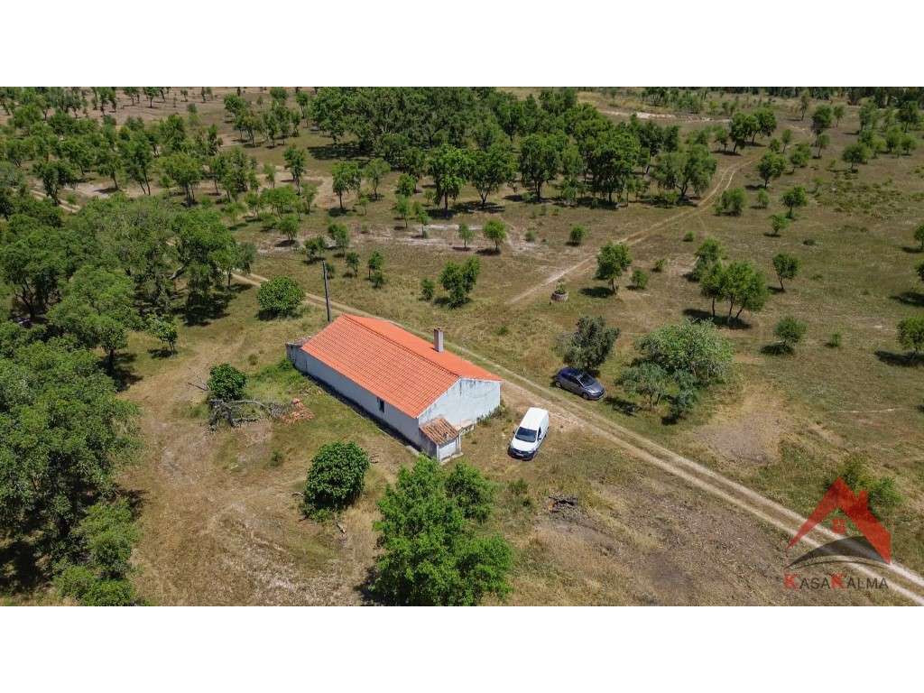 HERDADE DO BARRANCO - OPORTUNIDADE ÚNICA PARA TURISMO E INVESTIMENTO-13