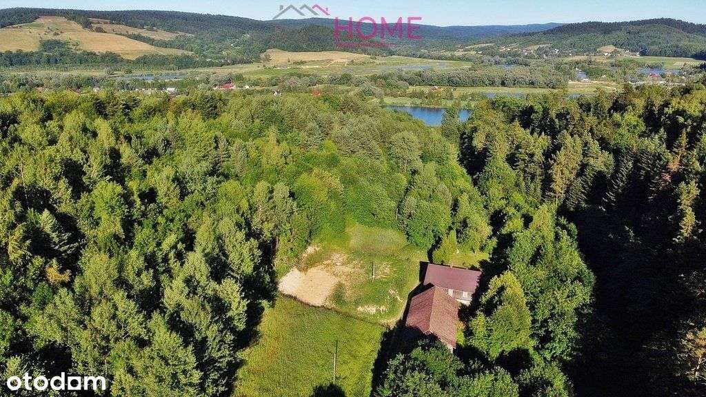 Sprzedam działkę pod lasem z Wz - Krzemienna - Pełny obrazek: 3/8