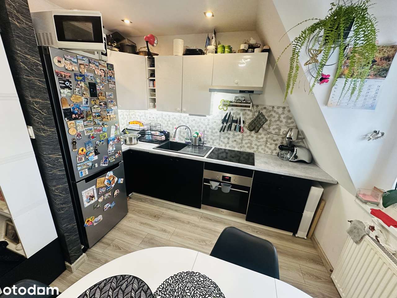 3 pokoje  przy parku Chojnów-10