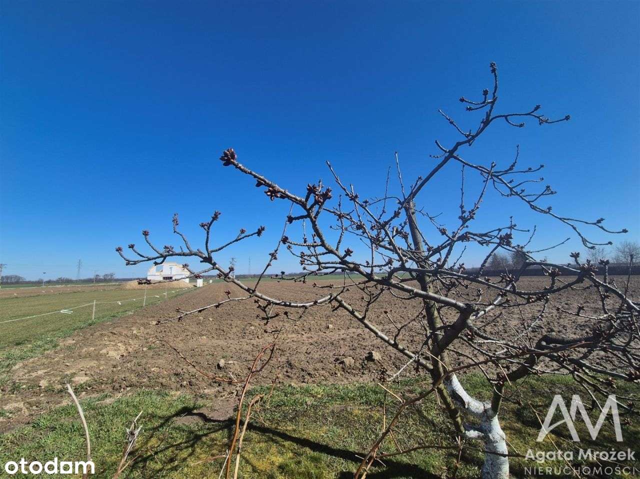 Działka budowlana z udziałami w drodze-8