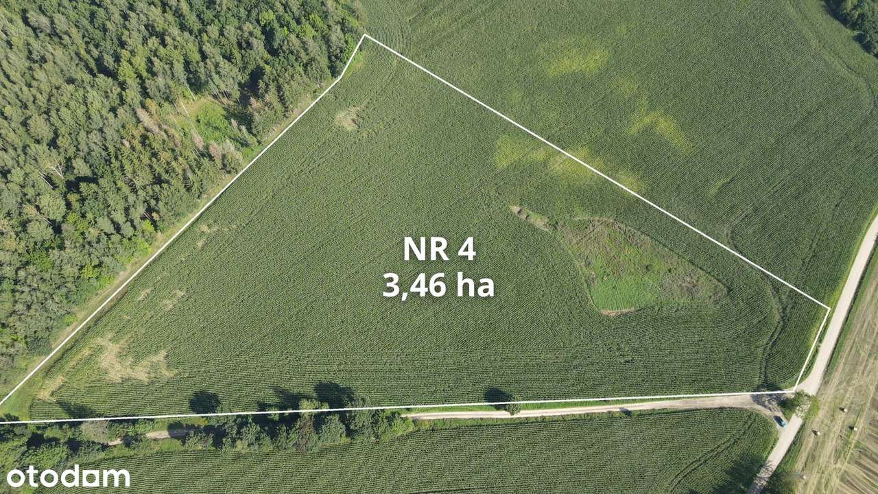 Działki rolne Klejdyty / 7,5 ha / IV klasa - Pełny obrazek: 5/8