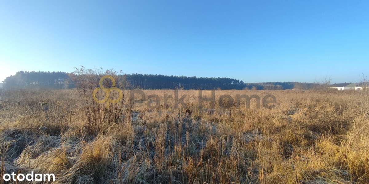 Piękna działka z widokiem na las/ 853m2/ Luciny - Pełny obrazek: 5/7