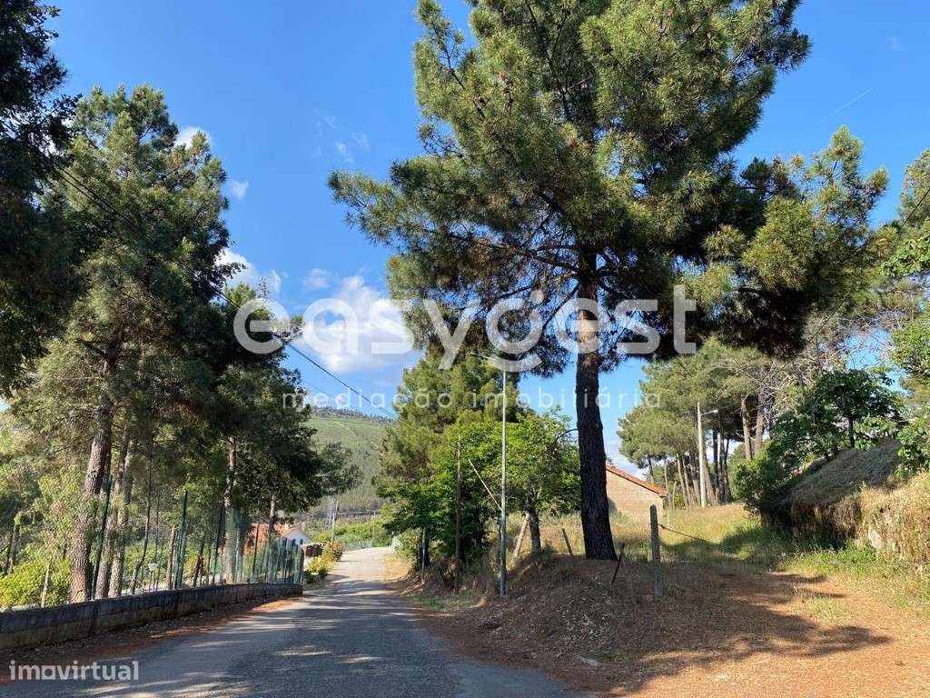 Magnifica Quintinha situada no coração do douro ideal para turismo - Grande imagem: 5/18