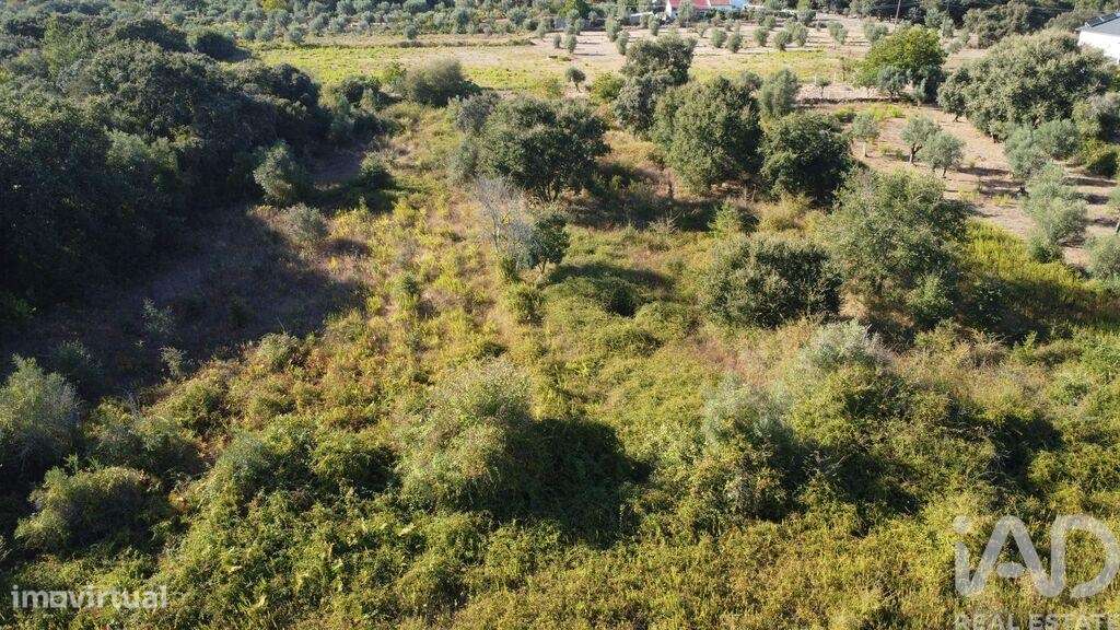 Terreno em Areias e Pias de 1850,00 m2 - Grande imagem: 1/13