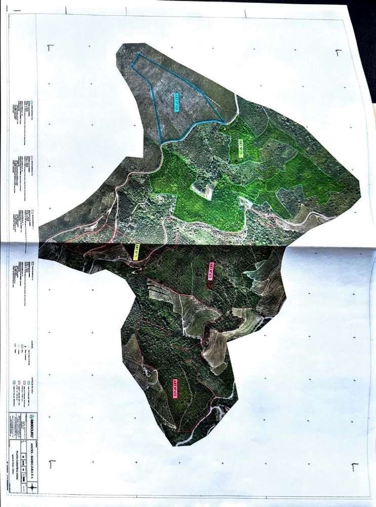 Terreno | Vila Real | 57 Hectares - Grande imagem: 2/6