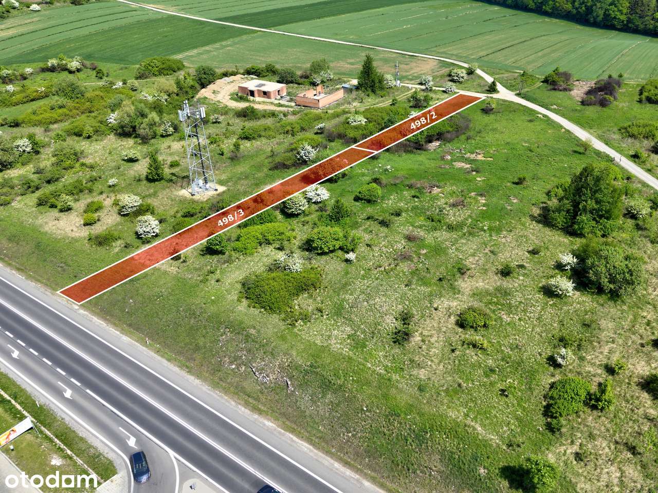 Ojcowski Park Narodowy - Pełny obrazek: 4/6