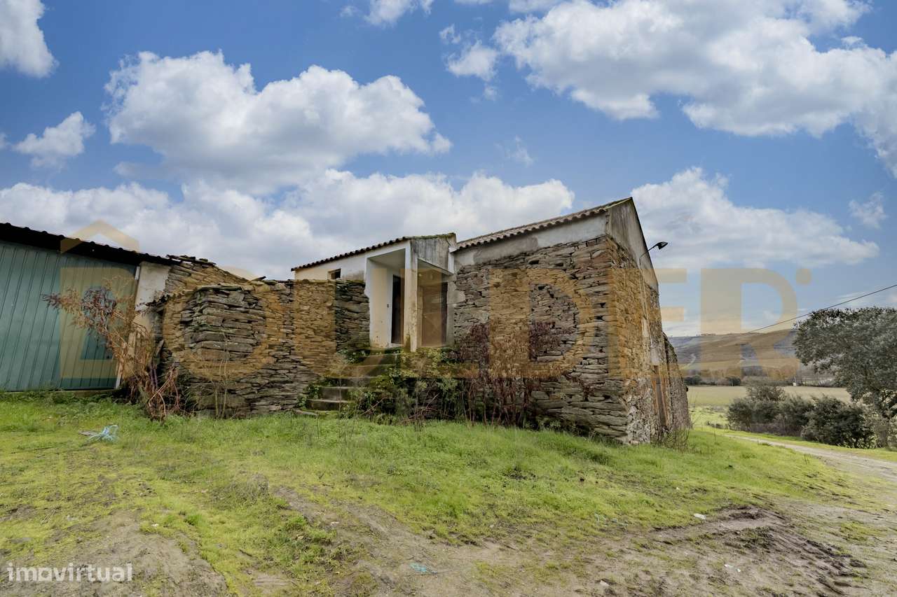 Quinta do Arieiro - Cedovim | Vila Nova de Foz Côa | Douro Superior - Grande imagem: 5/52