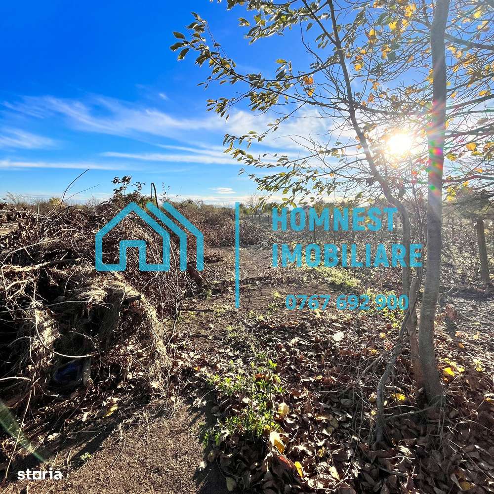 Stefanestii de Jos iIlfov | Teren 996.08 mp-4
