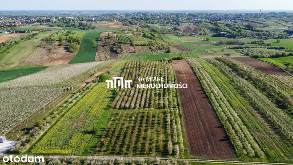 Duża działka  w Sandomierzu | 1 ha - Pełny obrazek: 2/9