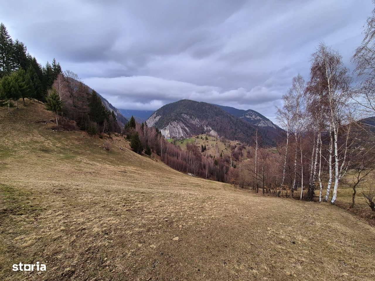 Teren cu energie speciala zona Pestera/Moeciu Brasov, 13.570mp-3