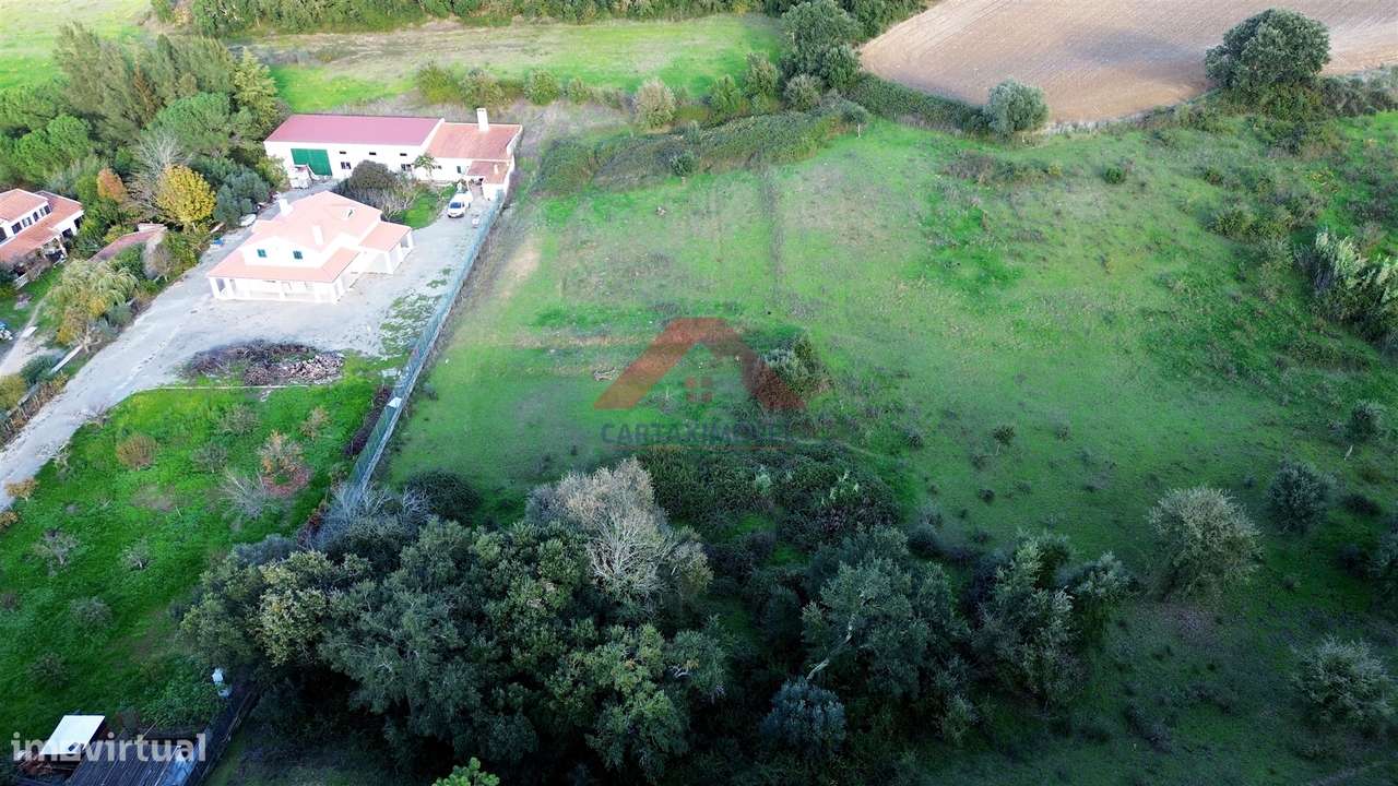 Terreno Rústico  Venda em Manique do Intendente, Vila Nova de São Pedr - Grande imagem: 5/8