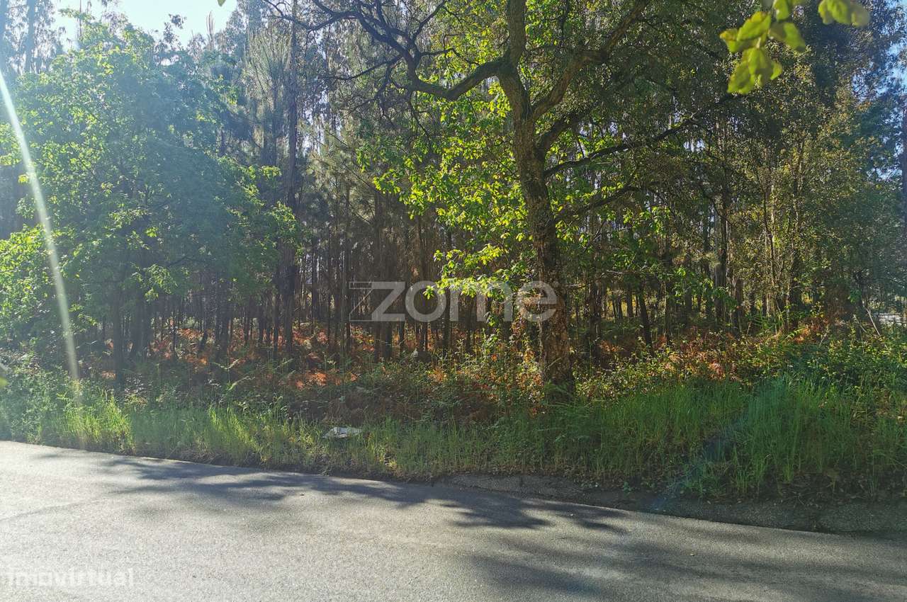 Terreno, com acesso betuminoso, gaveto, 2 frentes, Recardães, Águeda - Grande imagem: 4/15
