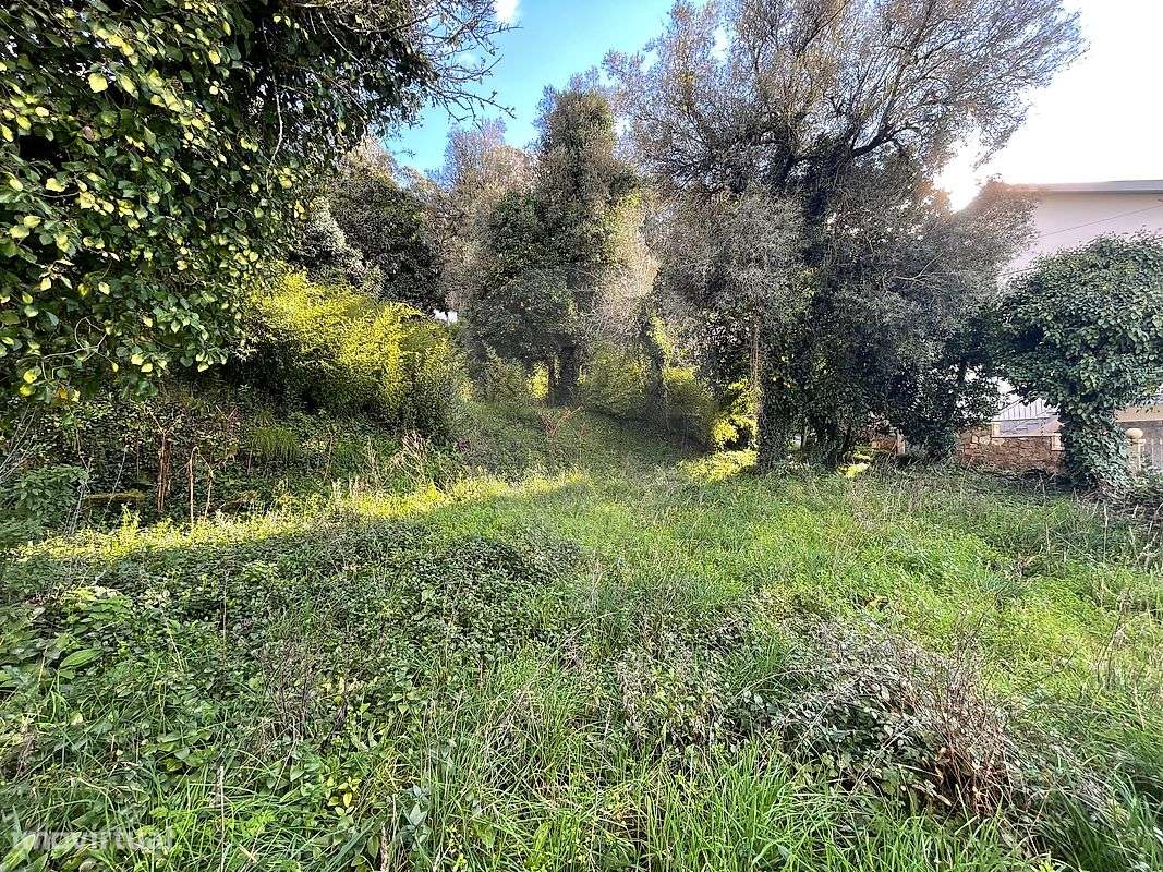 Terreno  para venda - Grande imagem: 2/21