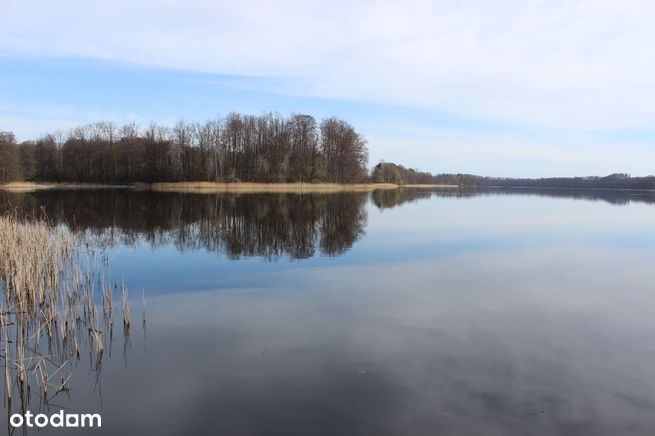 Budowlana Dziśnity, gm. Małdyty jezioro / las