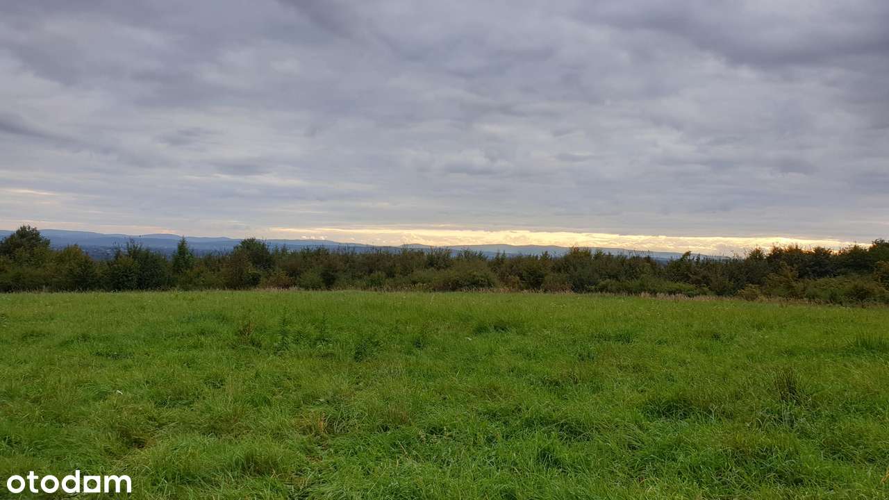 Wyjątkowa 65 ar działka widokowa w Odrzykoniu - Pełny obrazek: 4/5