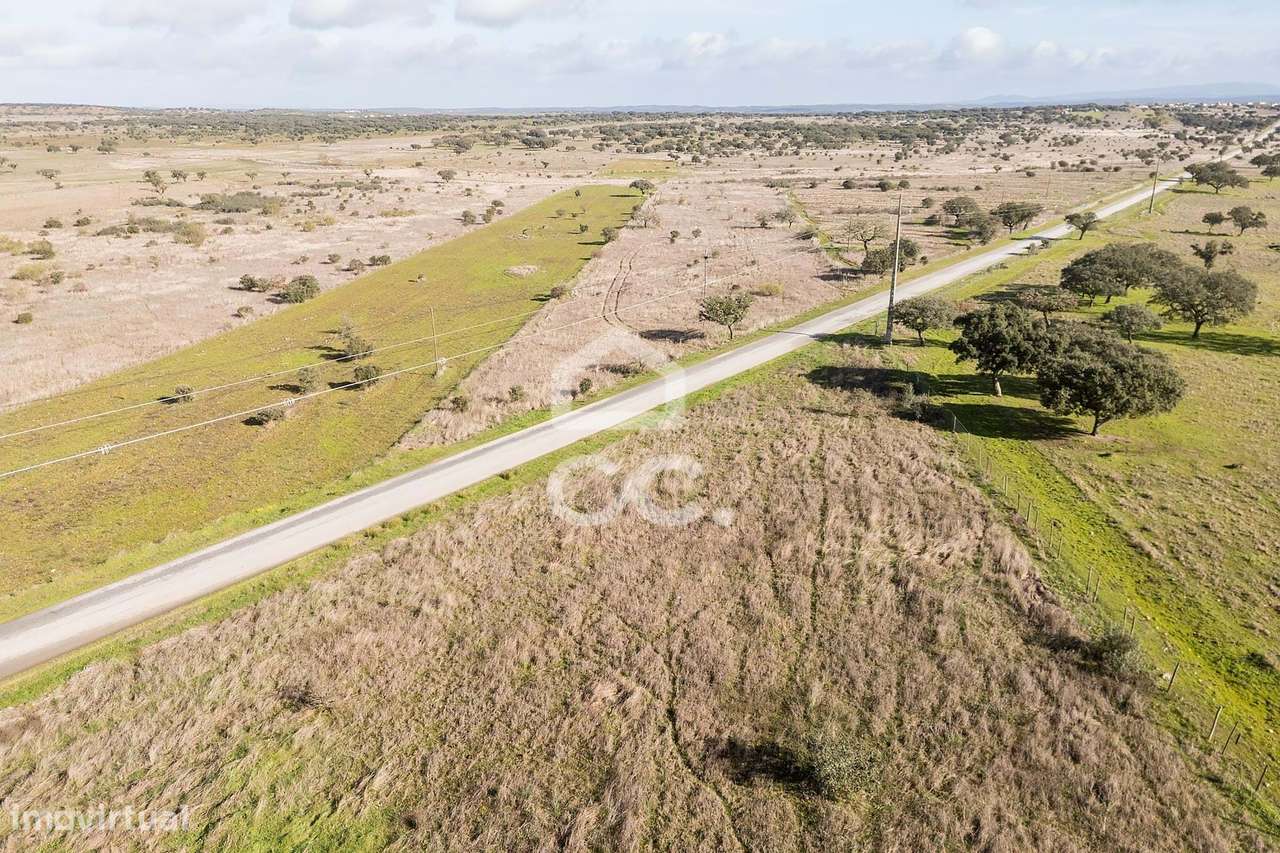 Terreno de 5,4 ha c/ Viabilidade de Construção | Capelins, Alandroal-14