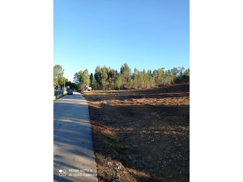 Terreno Rústico com 10.760 m² e Viabilidade de Construção de Moradi... - Grande imagem: 2/8