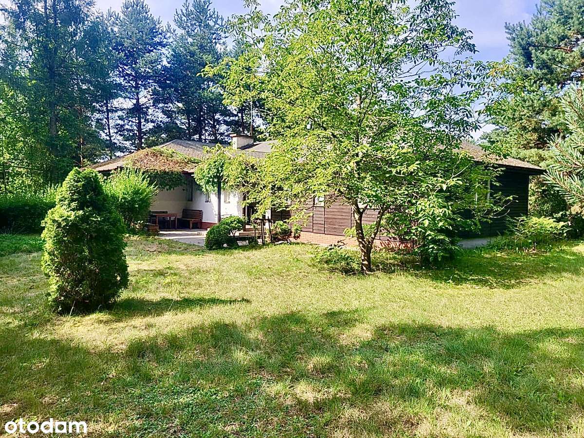 Twój zielony azyl nad wodą w Sulejowie! - Pełny obrazek: 5/17