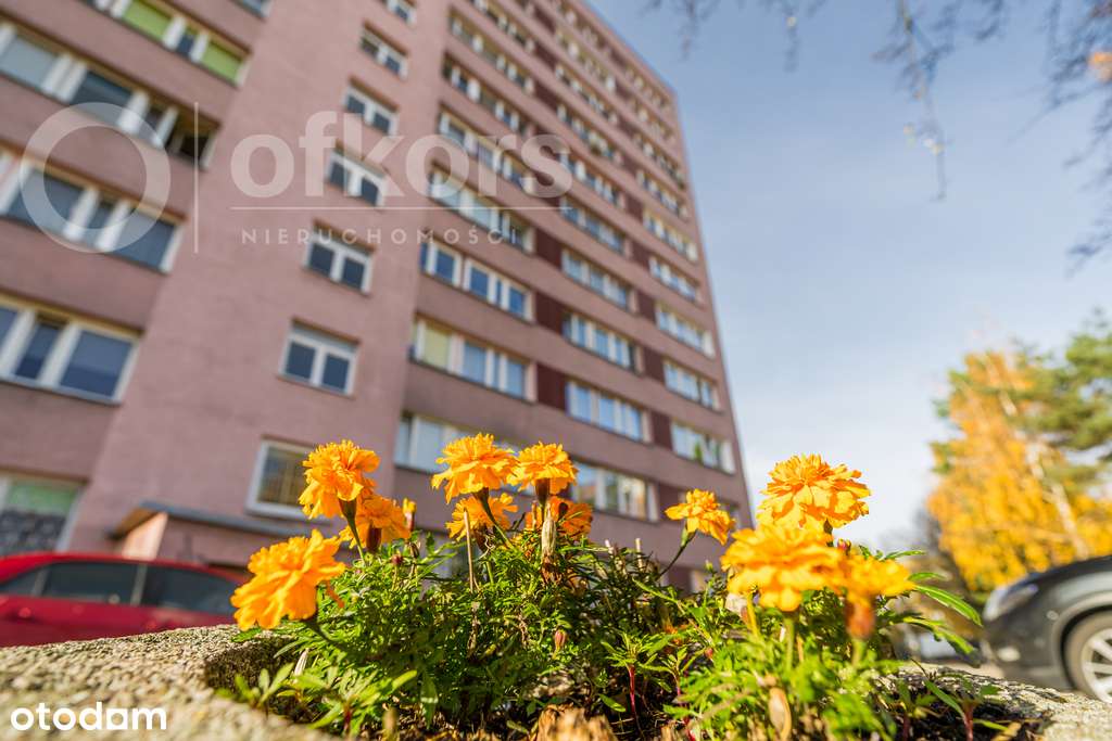 Kawalerka na Woli z potencjałem-11