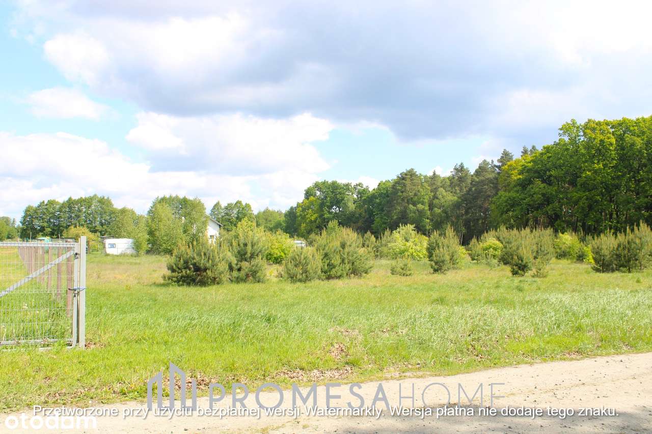 Sulęcinek pięknie położone działki przy ścianie lasu SUPER CENA !! - Pełny obrazek: 2/5
