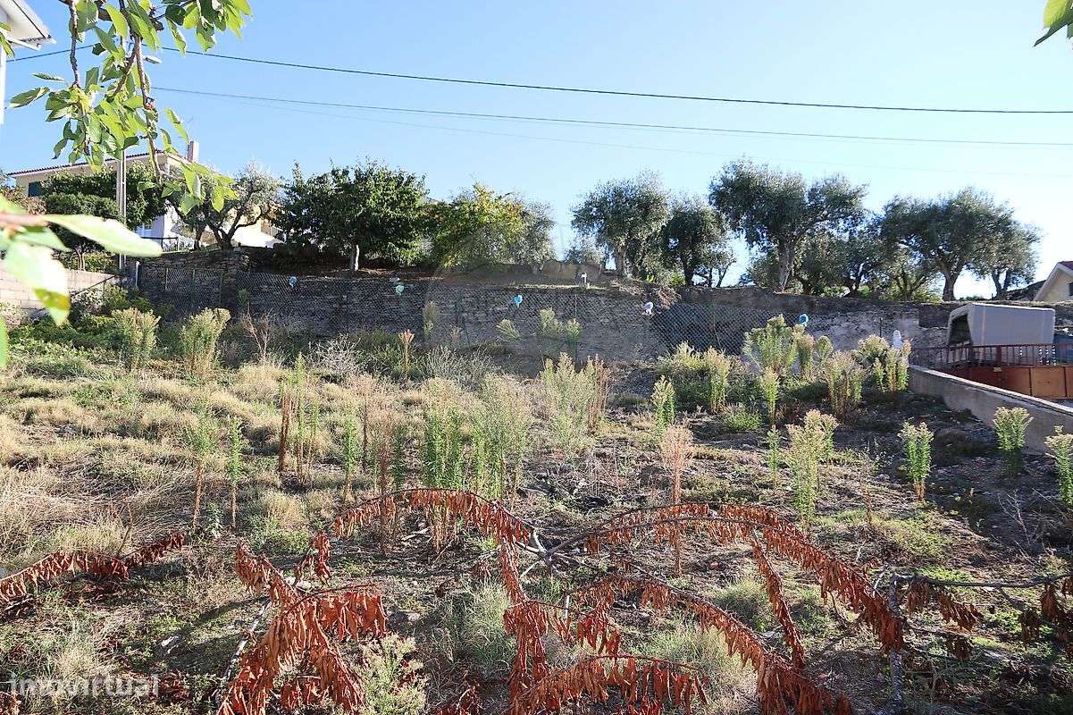 Terreno  para venda - Grande imagem: 5/8